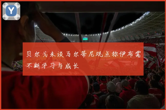 贝尔戈米谈马尔蒂尼观点称伊布需不断学习与成长